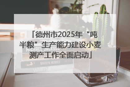 德州市2025年“吨半粮”生产能力建设小麦测产工作全面启动