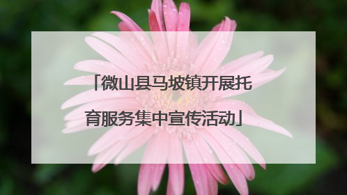 微山县马坡镇开展托育服务集中宣传活动