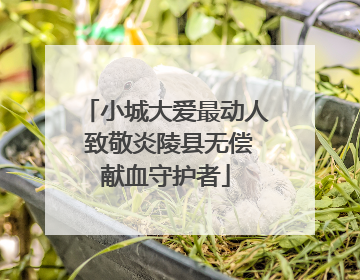 小城大爱最动人 致敬炎陵县无偿献血守护者
