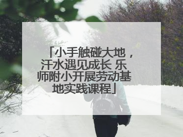 小手触碰大地，汗水遇见成长 乐师附小开展劳动基地实践课程