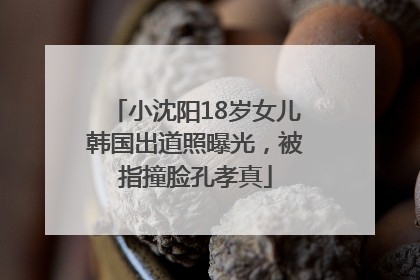 小沈阳18岁女儿韩国出道照曝光，被指撞脸孔孝真