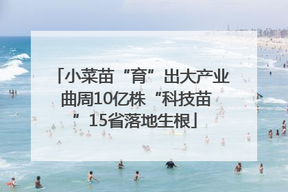 小菜苗“育”出大产业 曲周10亿株“科技苗”15省落地生根