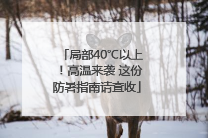 局部40℃以上！高温来袭 这份防暑指南请查收