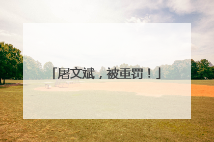 屠文斌，被重罚！