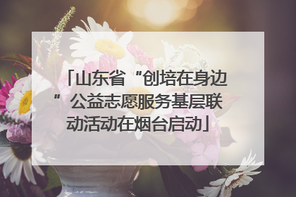 山东省“创培在身边”公益志愿服务基层联动活动在烟台启动