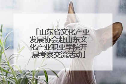 山东省文化产业发展协会赴山东文化产业职业学院开展考察交流活动