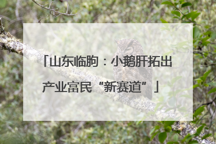 山东临朐：小鹅肝拓出产业富民“新赛道”