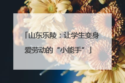 山东乐陵：让学生变身爱劳动的“小能手”