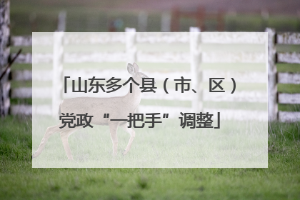 山东多个县（市、区）党政“一把手”调整