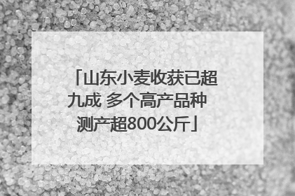山东小麦收获已超九成 多个高产品种测产超800公斤
