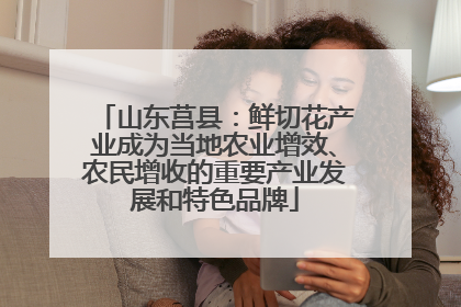 山东莒县：鲜切花产业成为当地农业增效、农民增收的重要产业发展和特色品牌