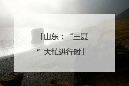 山东：“三夏”大忙进行时