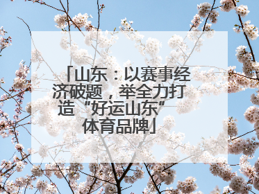 山东：以赛事经济破题，举全力打造“好运山东” 体育品牌