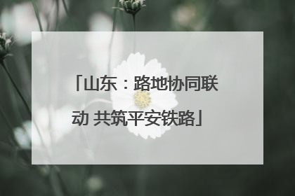 山东：路地协同联动 共筑平安铁路