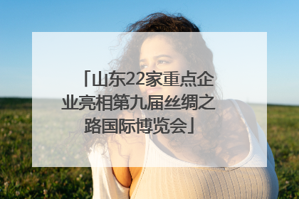 山东22家重点企业亮相第九届丝绸之路国际博览会