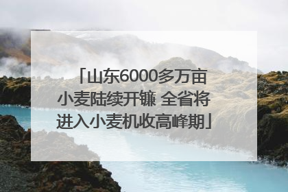 山东6000多万亩小麦陆续开镰 全省将进入小麦机收高峰期