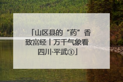 山区县的“药”香致富经丨万千气象看四川·平武③