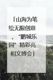 山海为笔绘无限创意，“鹏城乐园”精彩亮相文博会