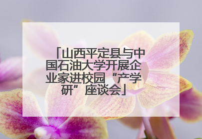 山西平定县与中国石油大学开展企业家进校园“产学研”座谈会