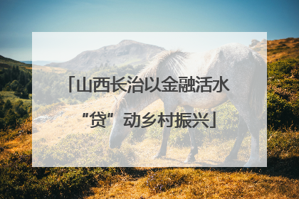 山西长治以金融活水“贷”动乡村振兴
