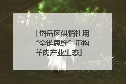 岱岳区供销社用“全链思维”重构羊肉产业生态