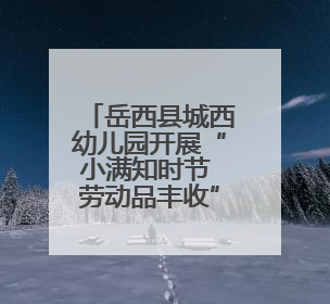 岳西县城西幼儿园开展“小满知时节 劳动品丰收”节气主题活动