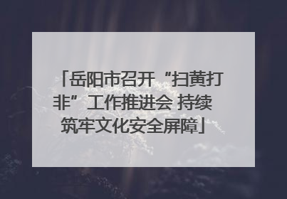 岳阳市召开“扫黄打非”工作推进会 持续筑牢文化安全屏障