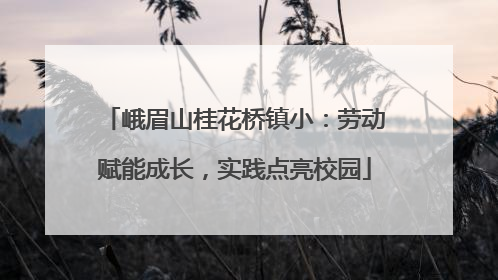 峨眉山桂花桥镇小：劳动赋能成长，实践点亮校园