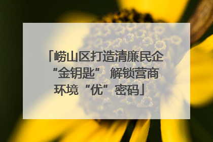 崂山区打造清廉民企“金钥匙” 解锁营商环境“优”密码