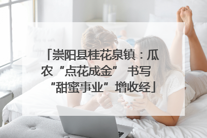 崇阳县桂花泉镇：瓜农“点花成金” 书写“甜蜜事业”增收经