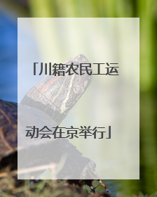 川籍农民工运动会在京举行
