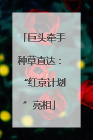 巨头牵手种草直达：“红京计划”亮相