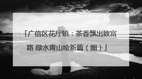 广信区花厅镇：茶香飘出致富路 绿水青山绘新篇（图）