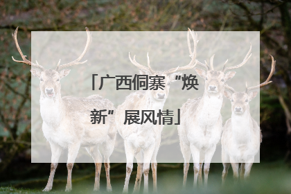 广西侗寨“焕新”展风情