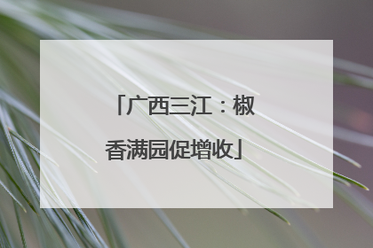广西三江：椒香满园促增收
