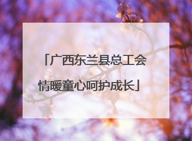 广西东兰县总工会情暖童心呵护成长