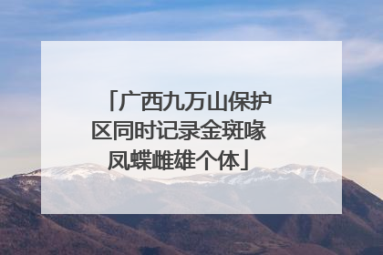 广西九万山保护区同时记录金斑喙凤蝶雌雄个体