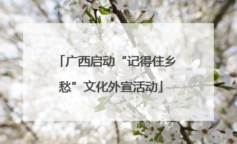 广西启动“记得住乡愁”文化外宣活动