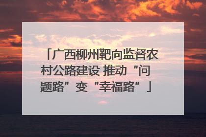 广西柳州靶向监督农村公路建设 推动“问题路”变“幸福路”