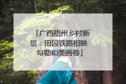 广西梧州乡村新景：田园铁路相映 勾勒和美画卷