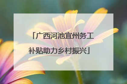 广西河池宜州务工补贴助力乡村振兴