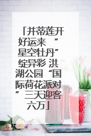 并蒂莲开好运来 “星空牡丹”绽异彩 洪湖公园“国际荷花派对”三天迎客六万