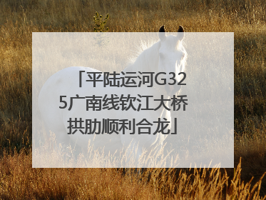平陆运河G325广南线钦江大桥拱肋顺利合龙