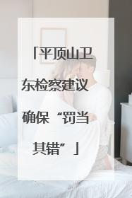 平顶山卫东检察建议确保“罚当其错”