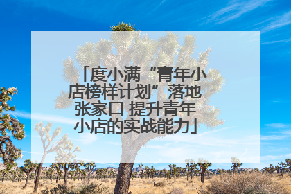 度小满“青年小店榜样计划”落地张家口 提升青年小店的实战能力
