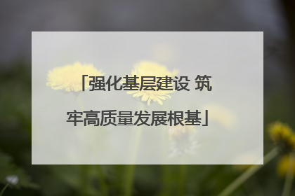 强化基层建设 筑牢高质量发展根基
