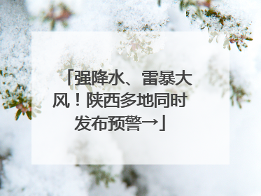 强降水、雷暴大风！陕西多地同时发布预警→