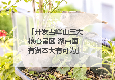 开发雪峰山三大核心景区 湖南国有资本大有可为