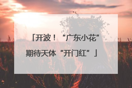 开波！“广东小花”期待天体“开门红”