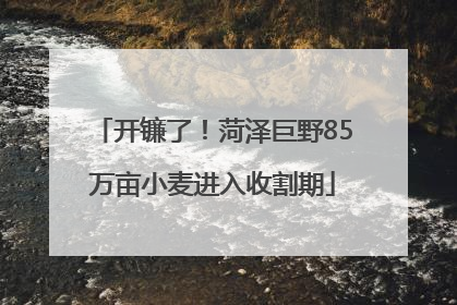 开镰了！菏泽巨野85万亩小麦进入收割期